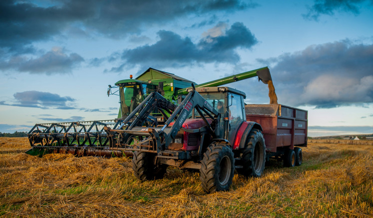 Harvester in field