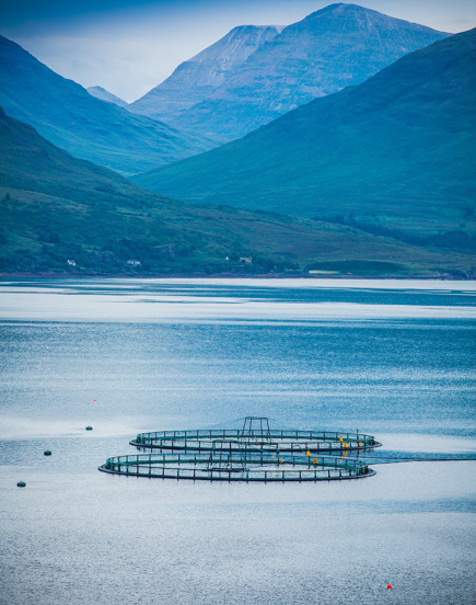 Fish Farm Water